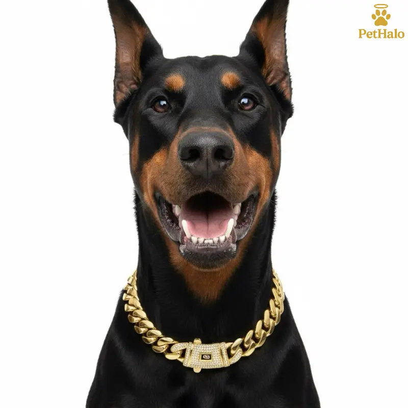 bpc 157 for dogs