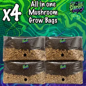 Mushroom Grow Bags | x4 Pack | Manure Substrate/Oats | Spore Daddy