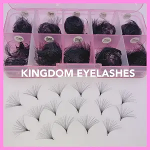 25D Handmade Lashes Mix Lengths - 12/13/14/15/16 - 1000 Fans