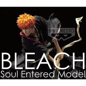 Ichigo Kurosaki Bleach Soul Entered Prize Figure
