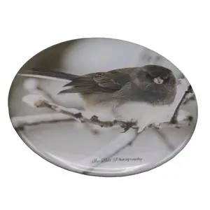 Magnet Dark Eyed Junco