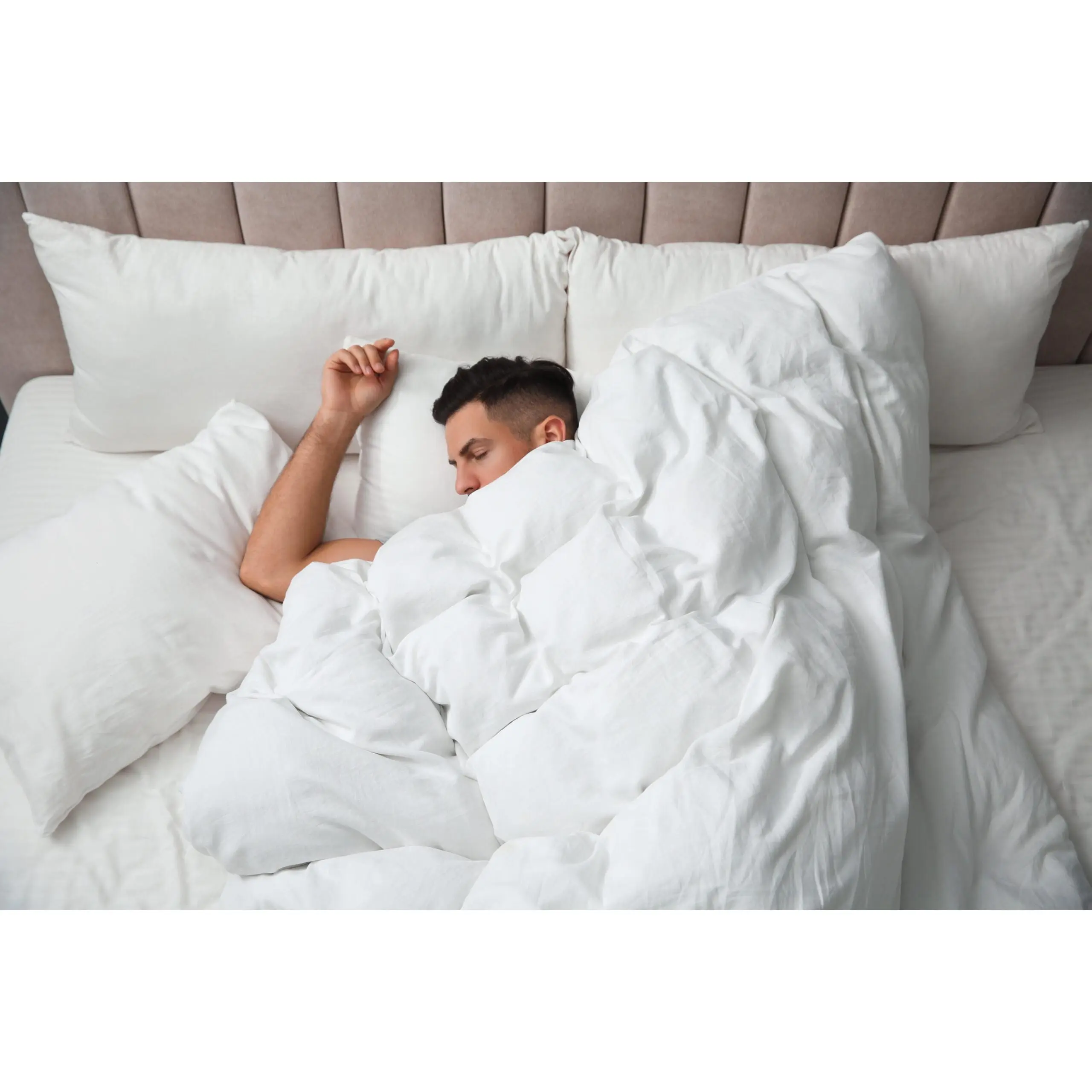 Siberian Collection 800 Fill Power White Goose Down Comforter