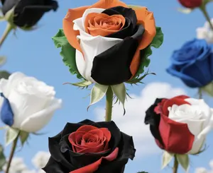 200pcs Mix Colorful Flower Rose Seeds for Outdoor Home Garden Flower Plant Seeds Vibrant Ornamental Flowers for Family Garden Decoration in Assorted Colors Rose Seeds Plant Seeds Flower Gift