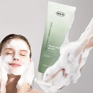 Heart Leaf Ginger Facial Cleanser, 1/2 Counts Deep Exfoliating, Facial Pore Cleaner, Hydrating & Moisturizing Facial Cleanser for Smooth Skin, Beauty & Personal Care Product