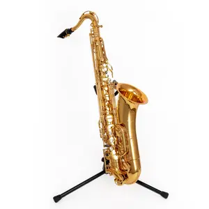 Wisemann DTS-500 Tenor Saxophone, Bb, with high canvas case and mouthpiece