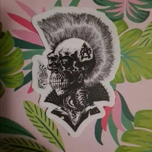 Anarchy Punk Skull Sticker