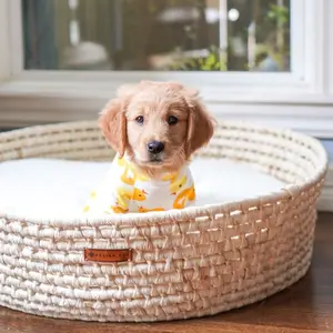 Handmade Organic Design Dua Scrags Dog Bed with Washable Sherpa Cushion for Small to Medium Sized Dogs