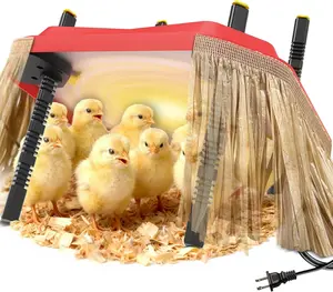 Chick Brooder Plate Coop Heat Plate for Baby Chicks 12"*12" with Adjustable Height & Angle and Auto Temperature Control, Heater with Skirt to Mimic the Comfort of a Mother Hen, Red