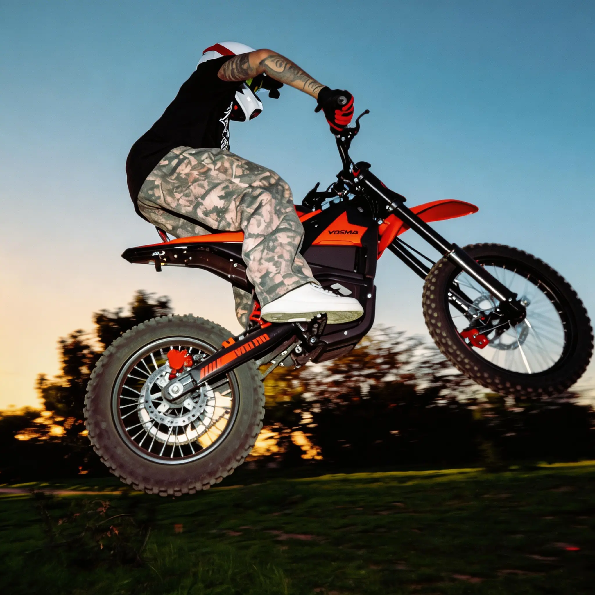 In 10 Pro Ebike for Teens & Adults e Bike Off Road(Battery & Bike Ship Separately)