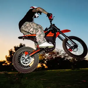 In 10 Pro Ebike for Teens & Adults e Bike Off Road(Battery & Bike Ship Separately)