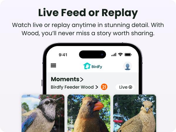 Birdfy Smart Bird Feeder with Camera Solar Powered, Night Insight & Slow-Motion Video for Outdoors & Backyard Birds Watching, AI Identify 6000+ Species , Wood