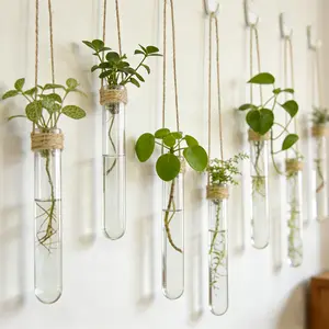 Wall-mounted Test Tube Vase Hemp Rope Hanging Hydroponic Set Simple Nordic Style Punch-free Installation Creative Wall Decoration Home Living Room Soft Decoration