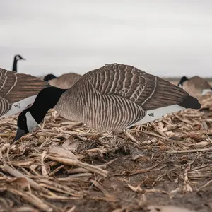 V3FF Fully Flocked Canada Silhouettes