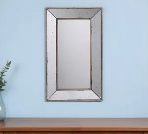 HomeRoots 485120 24 in. Silver Framed Antiqued Accent Mirror