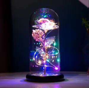 Forever Rose Lamp for Mom - Rechargeable Galaxy Glass Rose in Dome | Unique Birthday & Mother's Day Gifts for Women, Wife, Daughter, Grandma | Eternal Love Anniversary Present