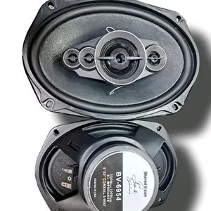 2*Blurred Vision Audio BV-6954-5 Way Speakers