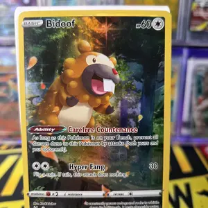 Bidoof GG29/GG70 Crown Zenith: Galarian Gallery Holo