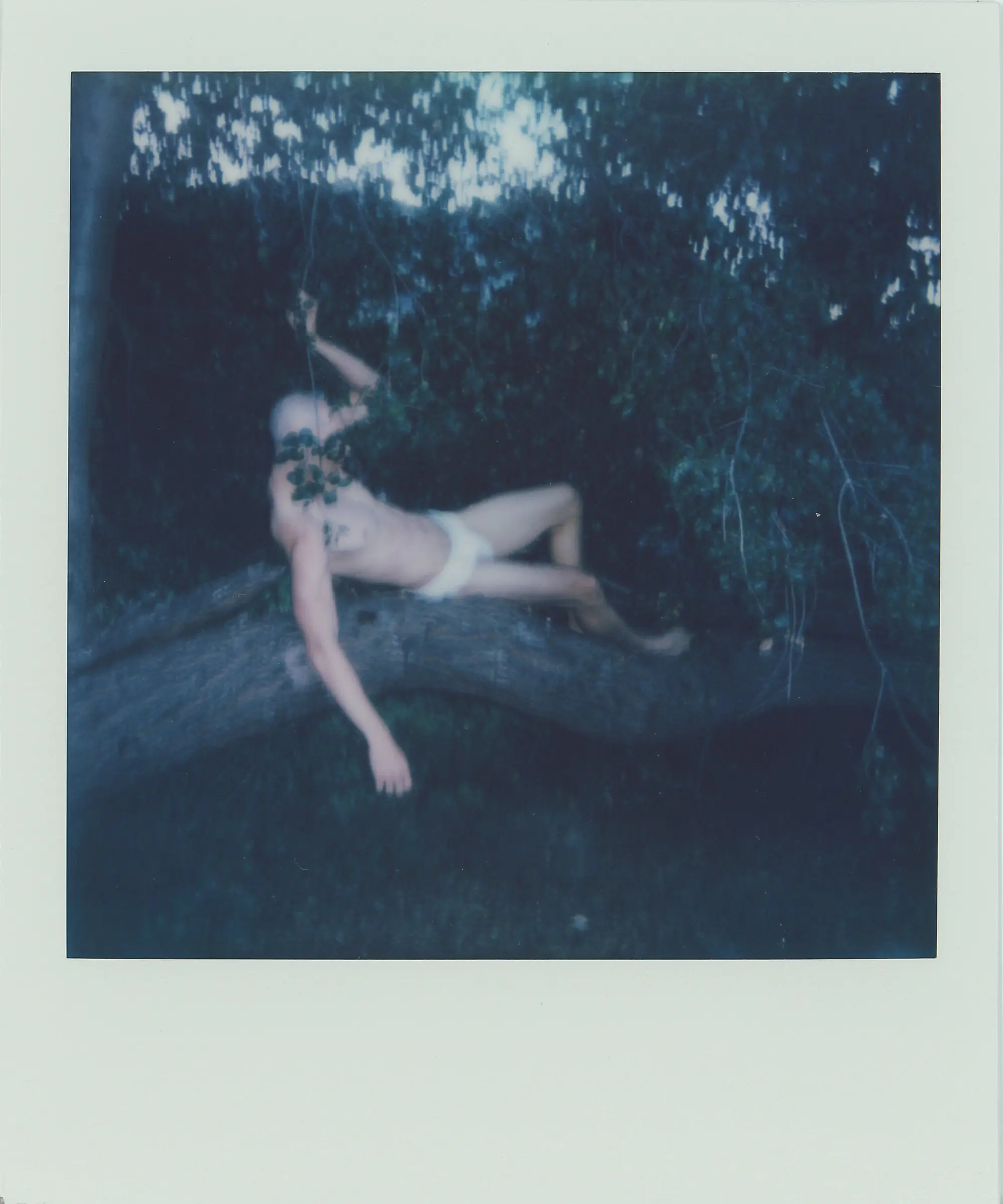 Polaroid 049