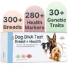 Basepaws Dog DNA Test Kit – 300+ Breeds, 280+ Genetic Health Risks, and 30+ Traits - 1 Pack - Comprehensive Dog DNA test for Ancestry & Health Care, Health Screening, Breed Analysis