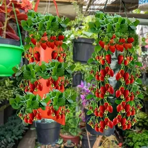 Hanging strawberry planting bag, 8 planting openings, vertical vegetable planting bag, suitable for outdoor courtyard, tear-resistant plant planting bag, Hanging Planters