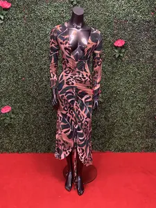 Mesh Pull-Over Cheetah Dress