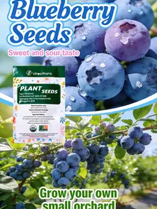 High Germination Blueberry Seeds for Fruit Bushes and Garden Planting