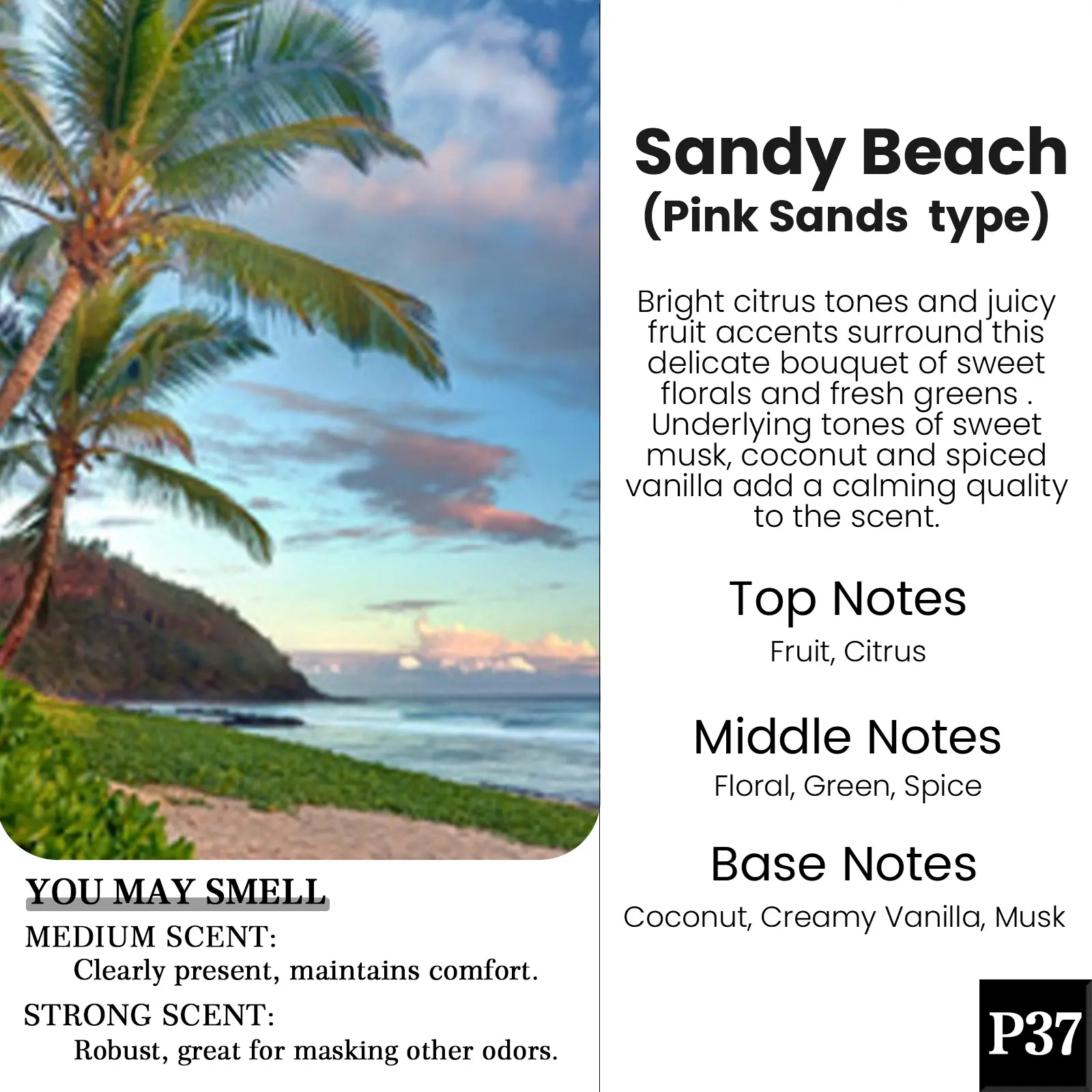 P37-Sandy Beach(Pink Sands Type)
