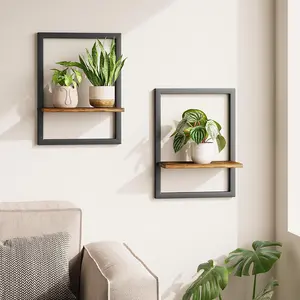 Wall Plant Holder Planters for Indoor Plants Frames Wall Planters for Small Pots Floating Shelves for Living Room Window