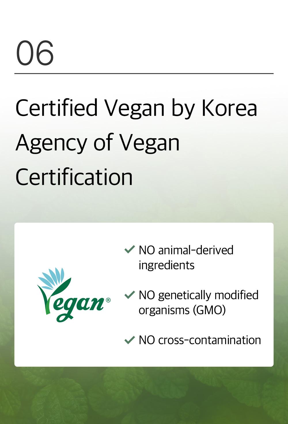 [mixsoon Official Shop] Centella Cleansing Foam 5.07 fl.oz / 150ml - Low pH cleansing foam for soothing and moisturization, Korean Glass Skin Care