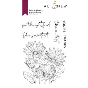 Paint-A-Flower: African Daisy Outline Stamp Set