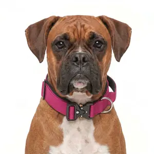 Boxer Tactical Dog Collar Heavy Duty Strong Puller No Pull K9 Professional Pet Training Gear with Quick Release Metal Buckle Soft Padded Adjustable Comfort Webbing for Medium Large Working Dogs