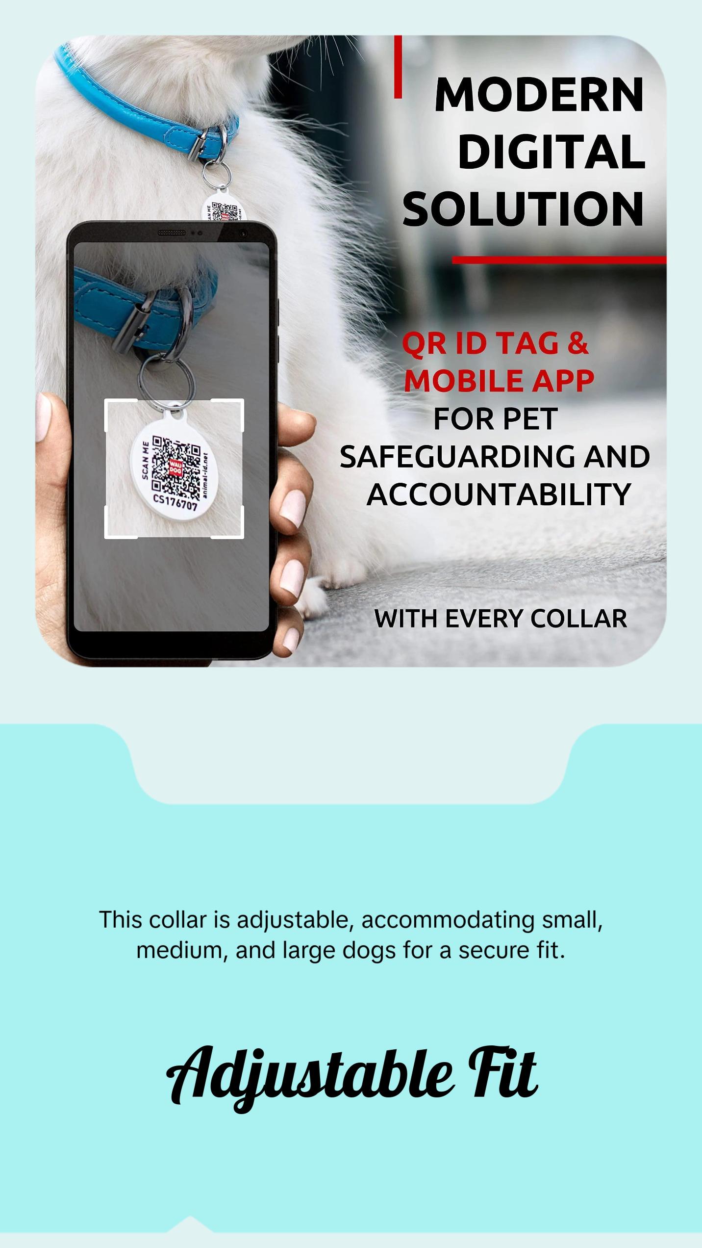 Blue Ultra Soft Rolled Leather Dog Collar for XSmall Dogs