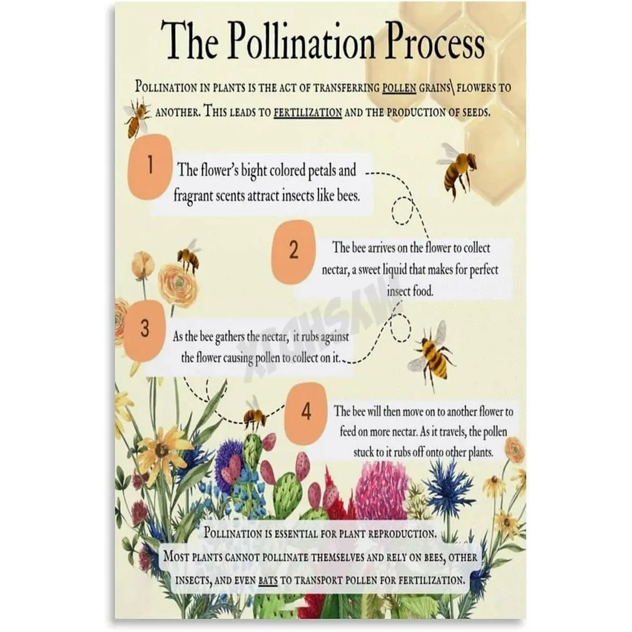 Process of Pollination Poster Science Education Poster (1) Canvas for Living Room Bedroom Decor 12x18inch(30x45cm) Unframe-style