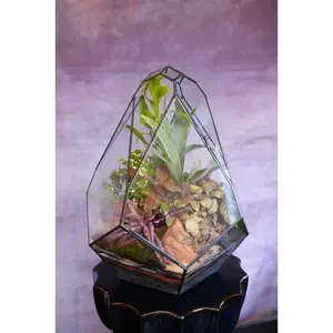 Paramount Terrarium