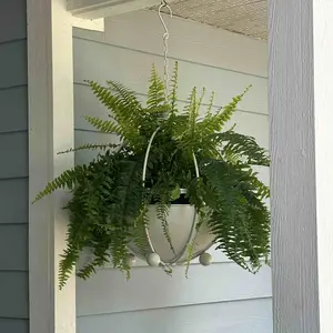 review image 6