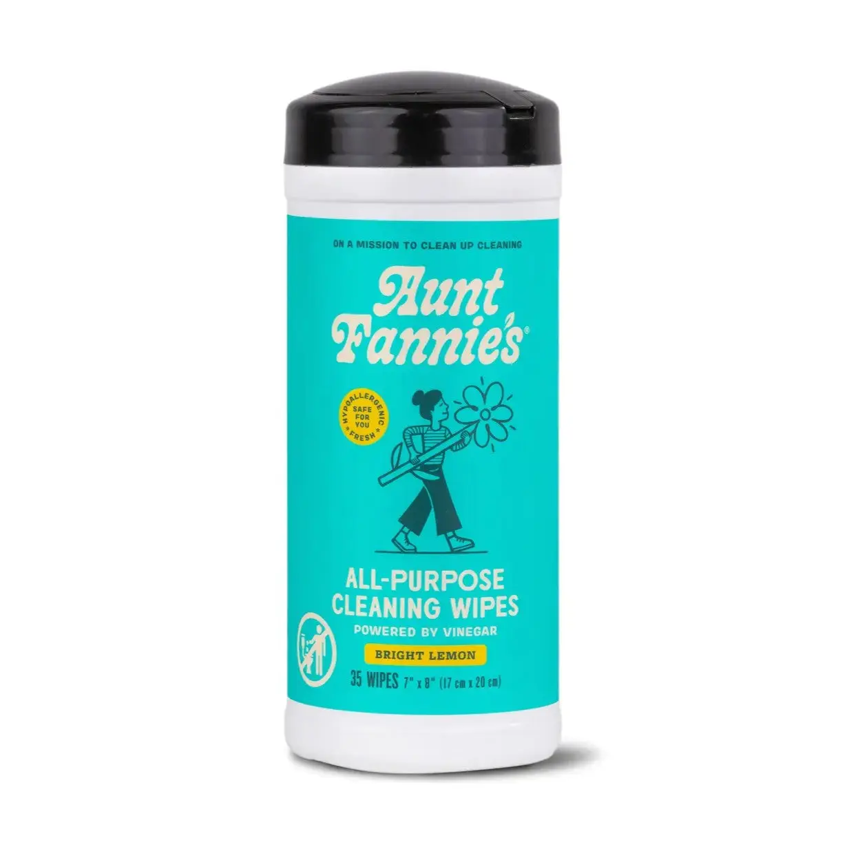 Aunt Fannie's - All-Purpose Cleaning Wipes