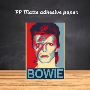 David Bowie Star Famous singer Poster Frameless poster pp Matte adhesive paper for Living room hallway bedroom