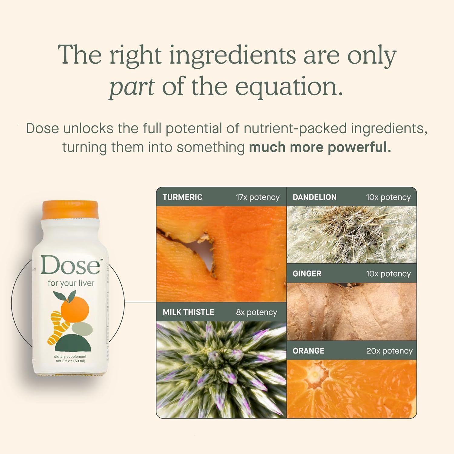 DOSE for Your Liver (3 Pack) for Cholesterol (3 Pack)