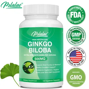 Pslalae - Ginkgo Biloba Supplement - 500 mg, Brain Boost, Blood Circulation - Non-GMO, Gluten Free - 120 Capsules