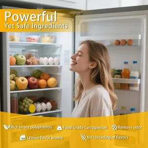 Refrigerator Deodorizer – More Effective than Baking Soda, Effectively Removes Stubborn Refrigerator Odors, Natural Gel (4 Pcs/Lemon Flavor) WeelenkEco