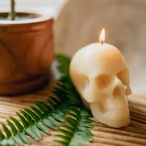 Skull Candle
