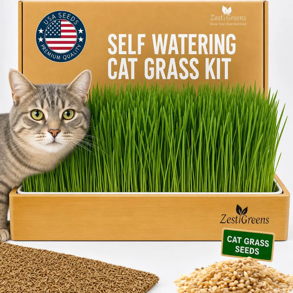 ZESTIGREENS Self-Watering Cat Grass Kit - 12in x 6in Large Crop Tabletop Rectangle No Soil Needed Germination Tray, Bamboo Frame, USDA Organic No GMO Wheatgrass Seeds, Easy Growth, Refill Packs Compatible Indoor Pet Grass Grower (1 Kit, Assembly Required)
