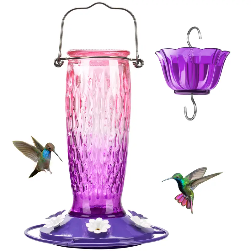 SummerVibes Glass Hummingbird Garden Bird Feeder 2026 - 24 oz, 6 Feeding Ports, Ant Moat Leak-Proof, 2-Part Base, Bee Guard, Screw-On Mouth, Easy Refill Outdoor Hanging Bird Feeding Tool for Multiple Hummingbirds