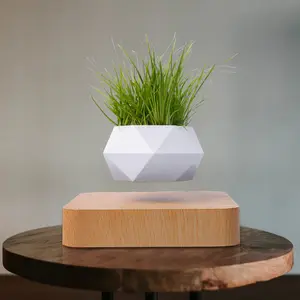 Levitating Plant Pot Floating Air Bonsai Pot Suspension Flowerpot Planter for Office Home Decoration （Does not contain plants））
