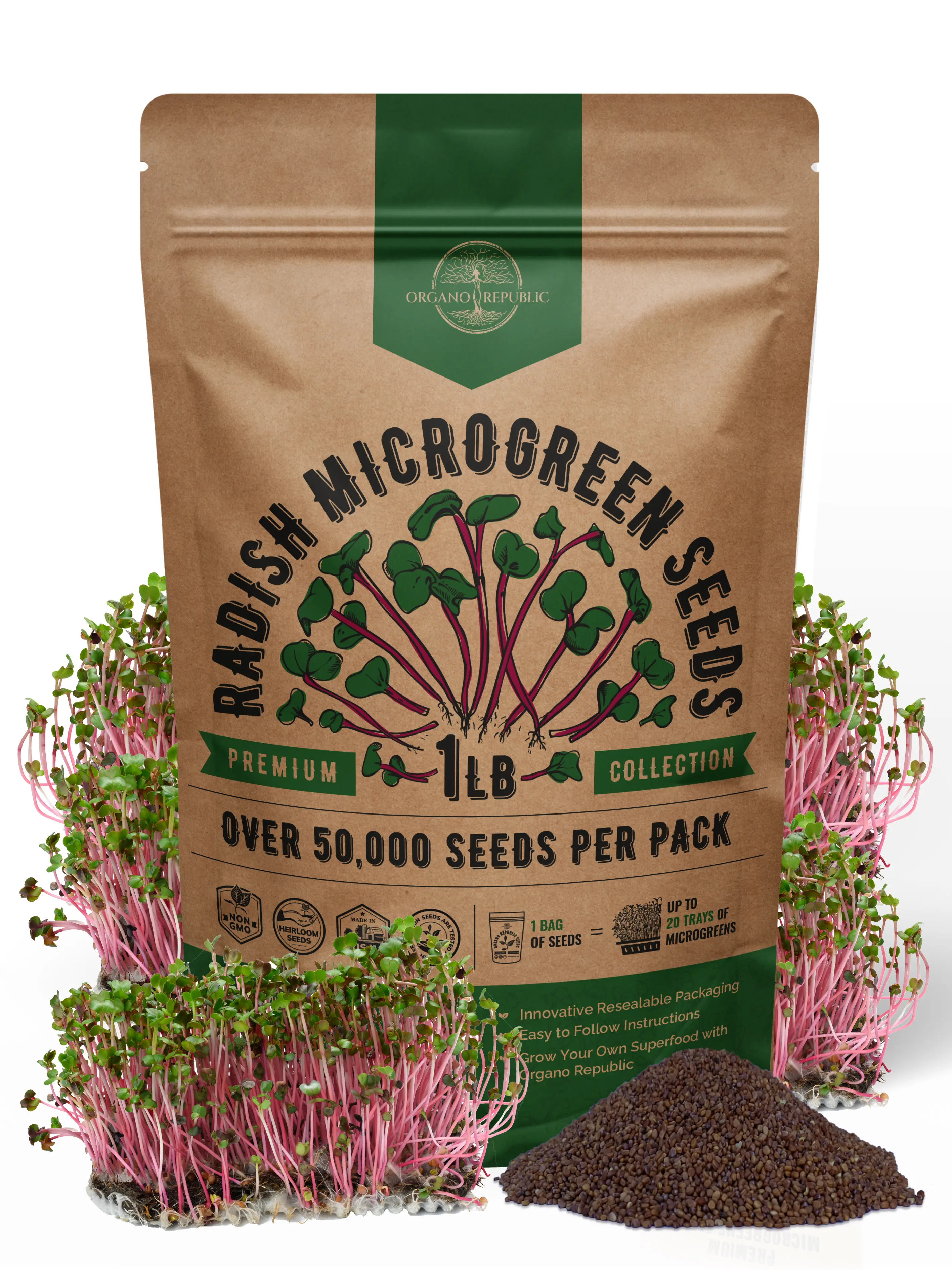 Radish Sprouts & Microgreens Seeds – Non-GMO Heirloom Radish Sprouts & Microgreens Seeds – Non-GMO Heirloom