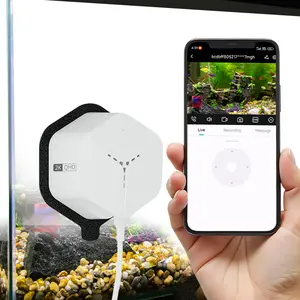 Seckun Fish Observation Ready 3MP 2K Window Security Camera Indoor WiFi 2.4GHz AI Color Night Vision Motion Detection Auto-Focus Easy Install 24/7 Recording - Monitoring, Card