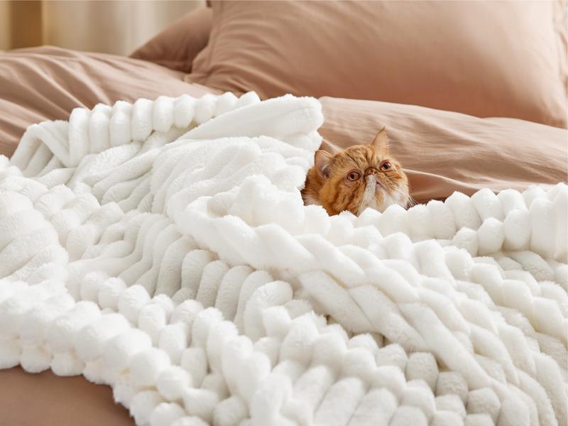 【September Shopping Deal】Bedsure GentleSoft Cozy Blanket-Patio Furniture Decor,Ultra-Soft,Classic Stripe Pattern, Ideal for Bed,Couch, Travel,Camping, All Seasons,Home Bedroom Decor Plush Outdoorfun,Lightweight Comforter,Cute Small Throws for Girls, 【September Shopping Deal】Bedsure GentleSoft Cozy Blanket-Patio Furniture Decor,Ultra-Soft,Classic Stripe Pattern, Ideal for Bed,Couch, Travel,Camping, All Seasons,Home Bedroom Decor Plush Outdoorfun,Lightweight Comforter,Cute Small Throws for Girls,