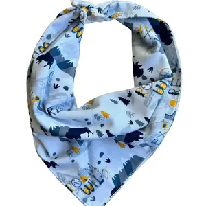 Adventure Dog Bandana