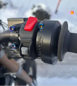 All Emoto Throttle Titanium Bolts (set of 2)