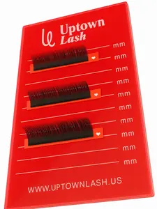 Lash holder tray